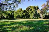 3 Via Vaquera - Photo 6