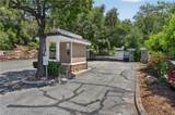 30682 Hamilton - Photo 7