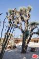 7435 Palomar Avenue - Photo 20