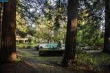 300 Camille Ave - Photo 39