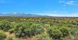 0 Cactus - Photo 1