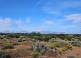 0 Cactus - Photo 4