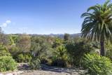 5501 Paseo Del Alba - Photo 8