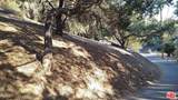 12300 Spring Trail - Photo 7