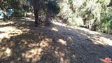 12300 Spring Trail - Photo 8