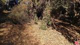 12300 Spring Trail - Photo 9