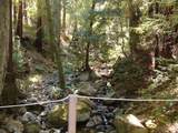 7150 Croy Road - Photo 71