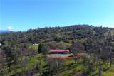 3729 Ben Hur Road - Photo 1