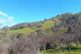3729 Ben Hur Road - Photo 26
