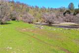 3729 Ben Hur Road - Photo 32