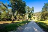 3729 Ben Hur Road - Photo 34