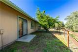 3729 Ben Hur Road - Photo 54