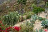 955 Enchanted Way - Photo 8