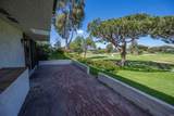 1377 Camino Teresa - Photo 12