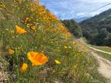 41505 A Mountain 56 - Photo 11