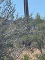 0 Upper Tule - Photo 2