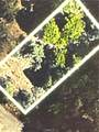 0 Canyon Drive - Photo 1