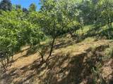 3721 Ventura Canyon - Photo 3