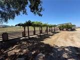 1640 Valley Quail - Photo 7