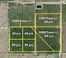 0 80th Avenue - Photo 3
