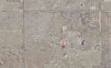  M8 Drt /95 #Drt Avenue - Photo 3