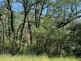7268 Shasta - Photo 2