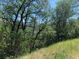 7268 Shasta - Photo 3