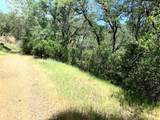 7268 Shasta - Photo 4