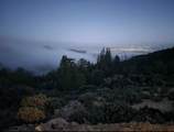 15950 Summit Road - Photo 16