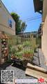 163 Kingsley Drive - Photo 39