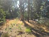 30778 Live Oak - Photo 10