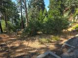 30778 Live Oak - Photo 20