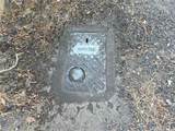 30778 Live Oak - Photo 3