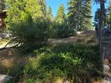 30778 Live Oak - Photo 6