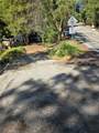 30778 Live Oak - Photo 8