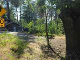 30778 Live Oak - Photo 9