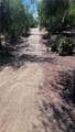 11530 2 Kitching Street - Photo 4