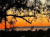 25091 Danapepper - Photo 1