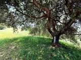 1826 Bluebird Road - Photo 2
