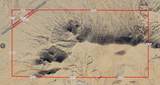 0 Randsburg Mojave Road - Photo 2