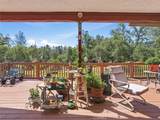 42704 Deep Forest - Photo 42
