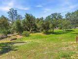 42704 Deep Forest - Photo 43