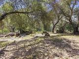 42704 Deep Forest - Photo 48