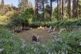 6774 La Honda Road - Photo 39