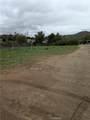 1 Gaviota - Photo 5