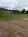 1 Gaviota - Photo 6