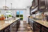36456 Shedera - Photo 11