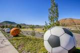 36456 Shedera - Photo 50