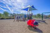 36456 Shedera - Photo 51