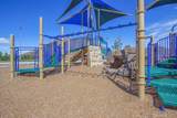 36456 Shedera - Photo 52